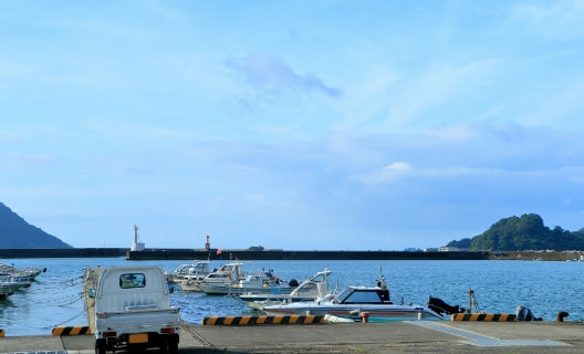 細島漁港で漁業体験