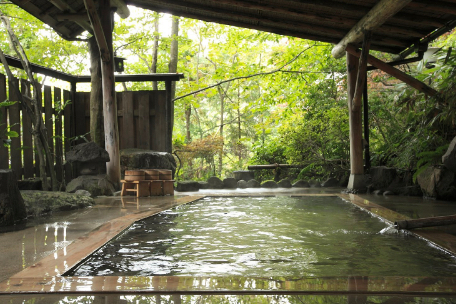 温泉｜百年ゆ宿 旅館大沼